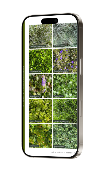 Free_iPhone_16_Pro_Mockup-guia1